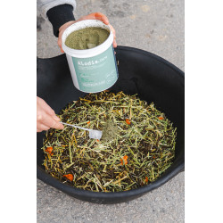 Ergänzungsfuttermittel Alodis Care Horse Complexe