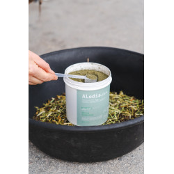 Ergänzungsfuttermittel Alodis Care Horse Complexe