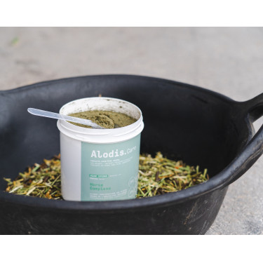 Ergänzungsfuttermittel Alodis Care Horse Complexe Ergänzungsfuttermittel Alodis Care Horse Complexe