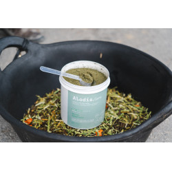 Ergänzungsfuttermittel Alodis Care Horse Complexe