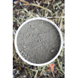 Ergänzungsfuttermittel Alodis Care Horse Complexe