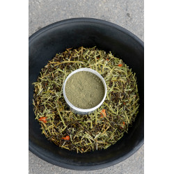 Ergänzungsfuttermittel Alodis Care Horse Complexe