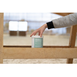 Ergänzungsfuttermittel Alodis Care Horse Complexe