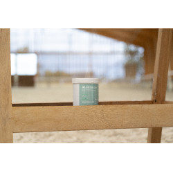 Ergänzungsfuttermittel Alodis Care Horse Complexe