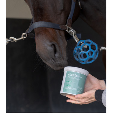 Ergänzungsfuttermittel Alodis Care Horse Complexe Ergänzungsfuttermittel Alodis Care Horse Complexe