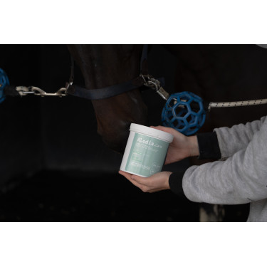 Ergänzungsfuttermittel Alodis Care Horse Complexe Ergänzungsfuttermittel Alodis Care Horse Complexe