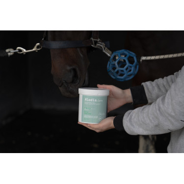 Ergänzungsfuttermittel Alodis Care Horse Complexe Ergänzungsfuttermittel Alodis Care Horse Complexe