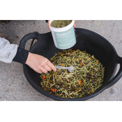 Ergänzungsfuttermittel Alodis Care Horse Complexe