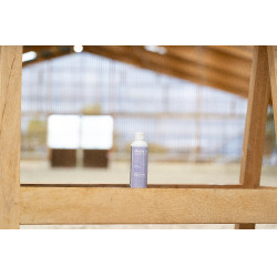 Ergänzungsfuttermittel Alodis Care Boost Power Ergänzungsfuttermittel Alodis Care Boost Power
