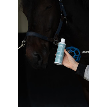 Ergänzungsfuttermittel Alodis Care Boost Flex Ergänzungsfuttermittel Alodis Care Boost Flex