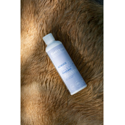 Ergänzungsfuttermittel Alodis Care Cani Complexe für Hunde Ergänzungsfuttermittel Alodis Care Cani Complexe für Hunde