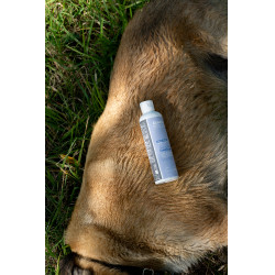Ergänzungsfuttermittel Alodis Care Cani Complexe für Hunde Ergänzungsfuttermittel Alodis Care Cani Complexe für Hunde