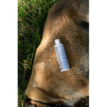 Ergänzungsfuttermittel Alodis Care Cani Complexe für Hunde Ergänzungsfuttermittel Alodis Care Cani Complexe für Hunde