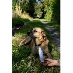 Ergänzungsfuttermittel Alodis Care Cani Complexe für Hunde Ergänzungsfuttermittel Alodis Care Cani Complexe für Hunde