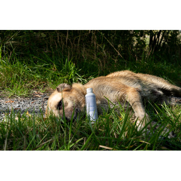 Ergänzungsfuttermittel Alodis Care Cani Complexe für Hunde Ergänzungsfuttermittel Alodis Care Cani Complexe für Hunde