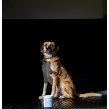 Alodis Care Cani Clay Tonerde für Hunde Alodis Care Cani Clay Tonerde für Hunde