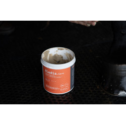 Klei Alodis Care Tendi Flash