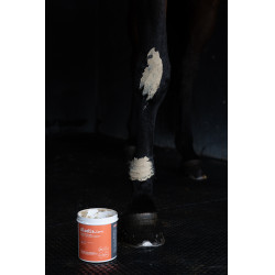 Klei Alodis Care Tendi Flash