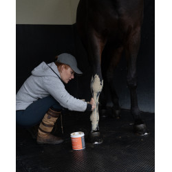 Klei Alodis Care Tendi Flash