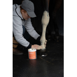 Klei Alodis Care Tendi Flash