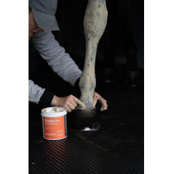 Klei Alodis Care Tendi Flash