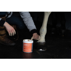 Klei Alodis Care Tendi Flash