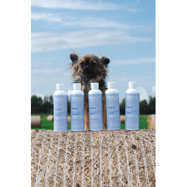 Balsam Alodis Care Cani Stress für Hunde Balsam Alodis Care Cani Stress für Hunde