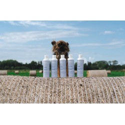 Balsam Alodis Care Cani Stress für Hunde Balsam Alodis Care Cani Stress für Hunde