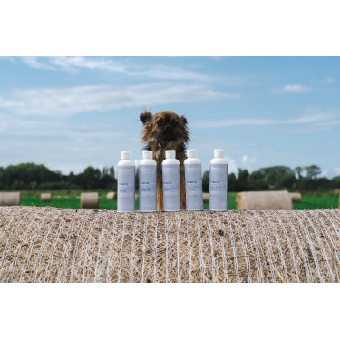 Balsam Alodis Care Cani Stress für Hunde Balsam Alodis Care Cani Stress für Hunde