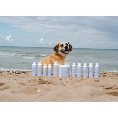Balsam Alodis Care Cani Stress für Hunde Balsam Alodis Care Cani Stress für Hunde