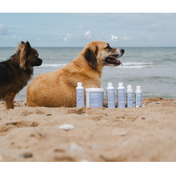 Alodis Care Öl Cani Recup