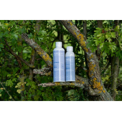 Alodis Care Cani Soap Hundeshampoo