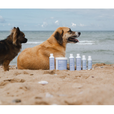 Alodis Care Cani Soap Hundeshampoo Alodis Care Cani Soap Hundeshampoo