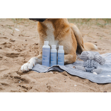 Alodis Care Cani Soap Hundeshampoo Alodis Care Cani Soap Hundeshampoo