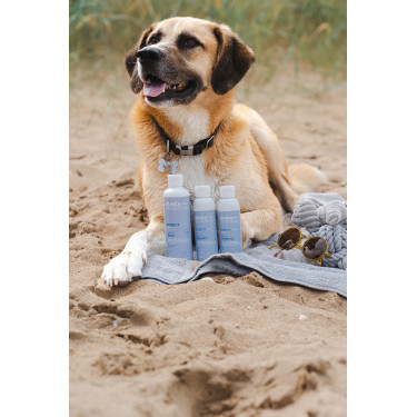 Alodis Care Cani Soap Hundeshampoo Alodis Care Cani Soap Hundeshampoo