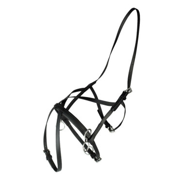 Kleines Rennhalfter aus Nylon Finn-Tack Pro in Achterform