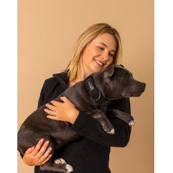 GEM Hundehalsband Schwarz