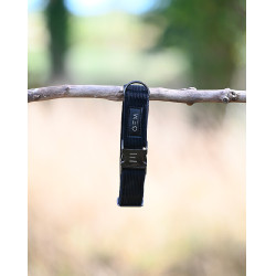 GEM Hundehalsband Schwarz