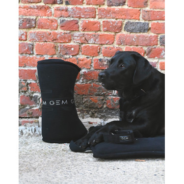 GEM Hundehalsband Schwarz