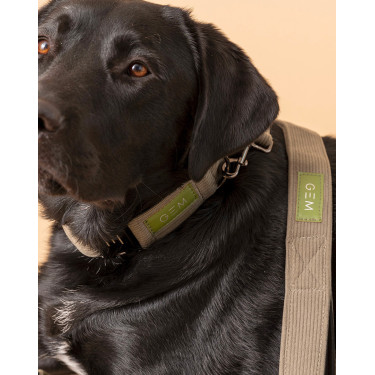 Lass GEM Hund Khaki Gr&uuml;n