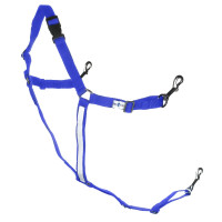 Amerikanisches synthetisches Pony-Kopfstück Finn-Tack Pro Blau / Weiß Amerikanisches synthetisches Pony-Kopfstück Finn-Tack Pro Blau / Weiß
