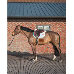 GEM Leo Hindernismatte GEM Leo Hindernismatte