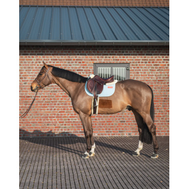 GEM Leo Hindernismatte GEM Leo Hindernismatte