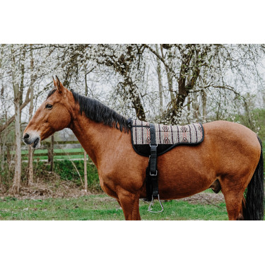Reitpad Norton Kiowa Reitpad Norton Kiowa
