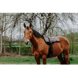 Reitpad Norton Kiowa Reitpad Norton Kiowa