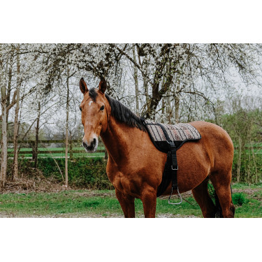 Reitpad Norton Kiowa Reitpad Norton Kiowa