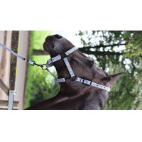 Anbindestrick Lami-Cell Midnight Schieferblau