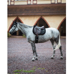 GEM Winterteppich Schwarz GEM Winterteppich Schwarz