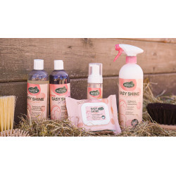 Easy Shine Wipe Ravene Reinigungstücher Easy Shine Wipe Ravene Reinigungstücher