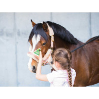 Insektenschutz-Gel für Pferde – leise Anwendung